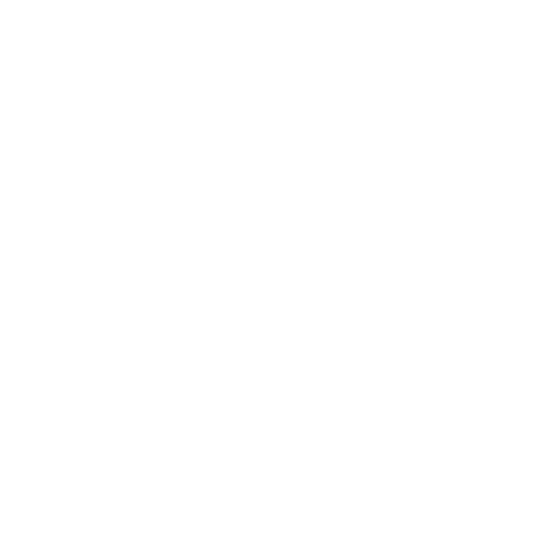 Diet Care Icon